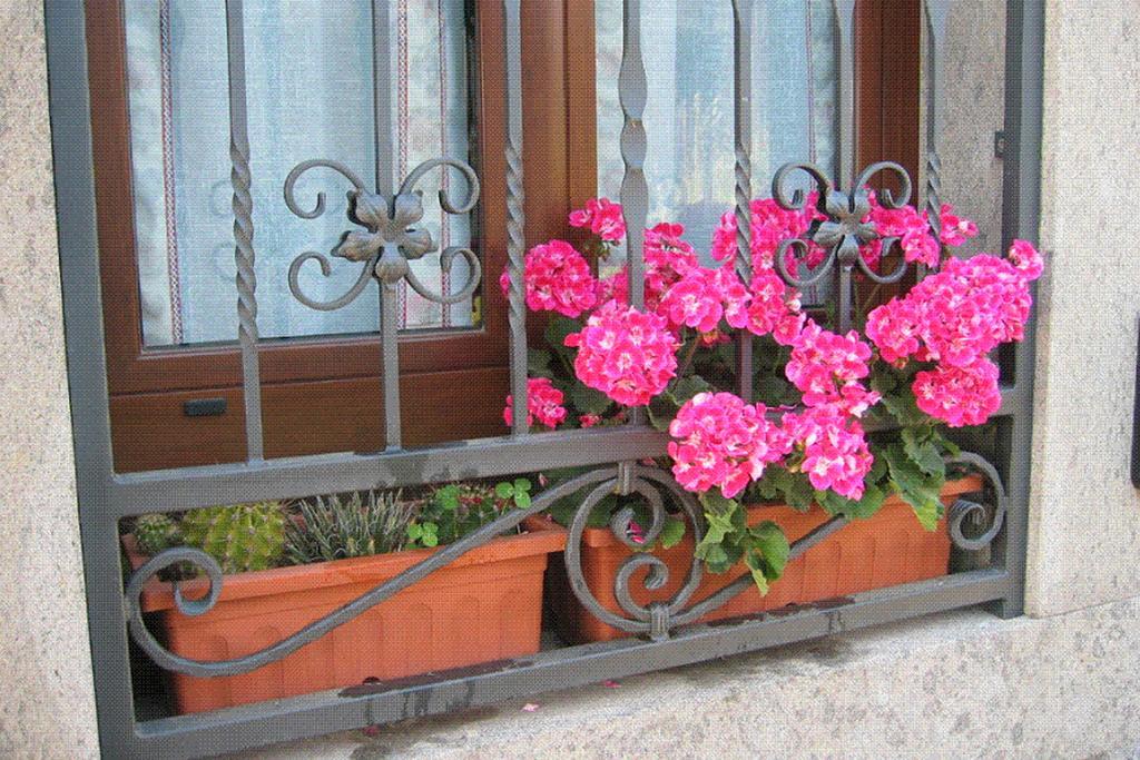 Casale Aurora Βίλα Βιτέρμπο Εξωτερικό φωτογραφία